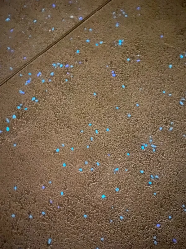 “My country puts phosphor into sidewalks so you can see at night.”