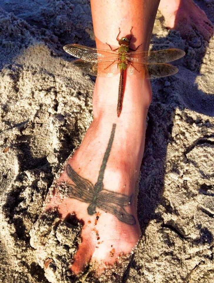 “A dragonfly landed on my friend’s foot and mirrored its own tattoo.”