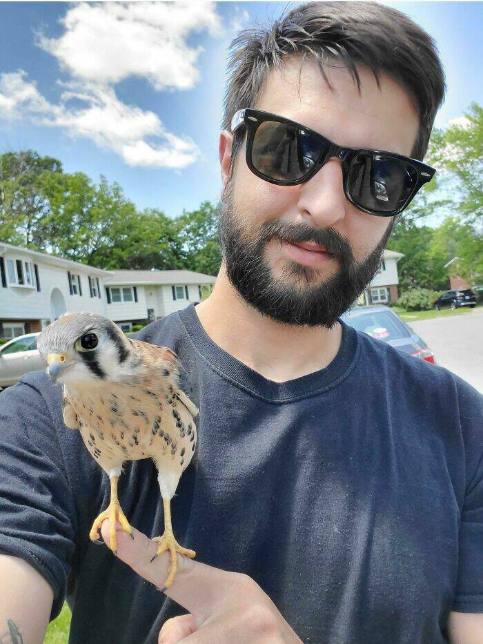 "Just Found This Throwback Of When A Wild Falcon Decided To Come And Hang Out With Me For A While. Had No Idea This Thing Could Shred My Finger To Pieces At The Time"