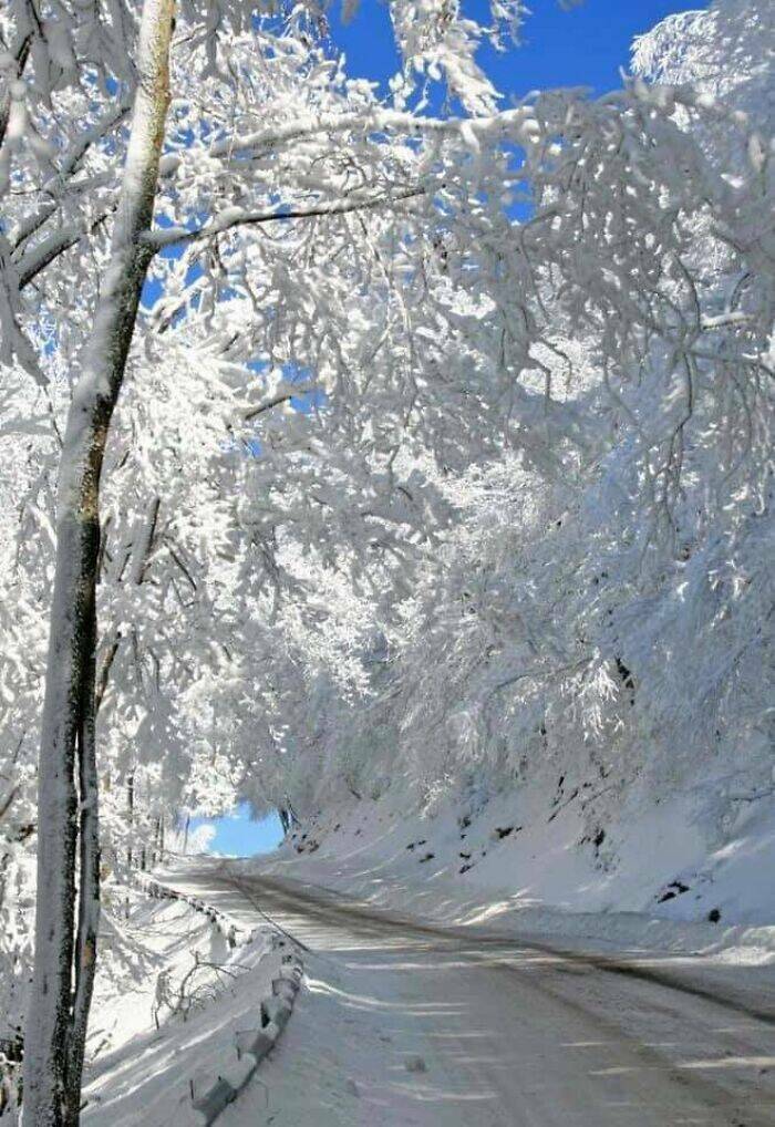 "Winter Magic In West Virginia"