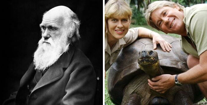 Interesting time comparisons - charles darwin and steve irwin tortoise