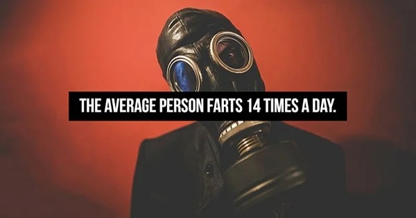20 Facts About Farts.