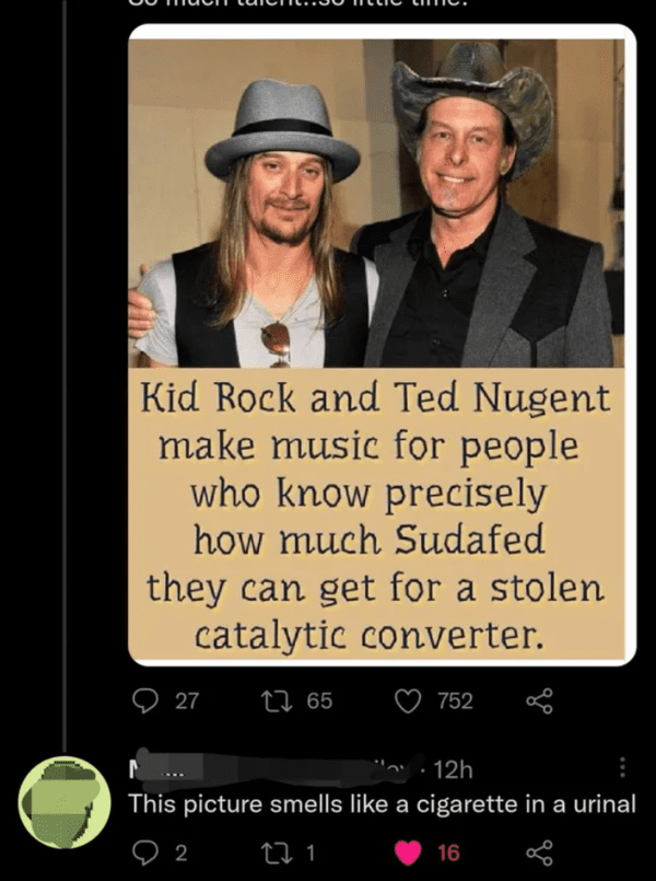 Clever comments - Kid Rock and Ted Nugent make music for people who know precisely how much Sudafed they can get for a stolen catalytic converter.