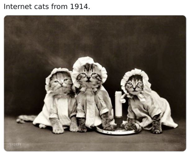 30 Odd And Funny Photos From History.