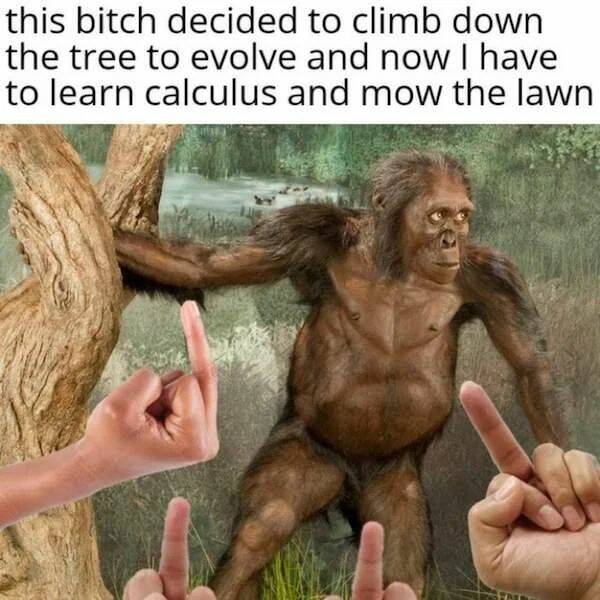 Depressing memes - decided to climb down the tree to evolve and now I have to learn calculus and mow the lawn