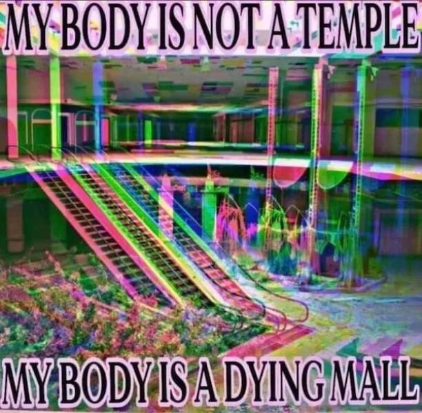 Depressing memes - My Body Is Not A Temple f My Body Is A Dying Mall