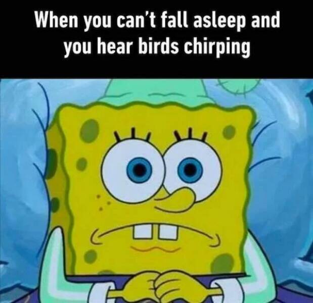 Depressing memes - t try this at home - When you can't fall asleep and you hear birds chirping