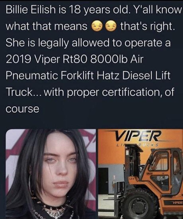 oddly specific memes --  2019 viper rt80 8000lb air pneumatic forklift hatz diesel lift truck - Billie Eilish is 18 years old. Y'all know what that means that's right. She is legally allowed to operate a 2019 Viper Rt80 8000lb Air Pneumatic Forklift Hatz 