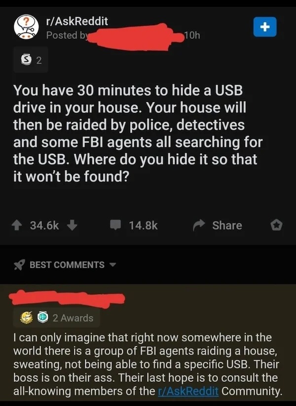 oddly specific memes - screenshot - ? S2 rAskReddit Posted by You have 30 minutes to hide a Usb drive in your house. Your house will then be raided by police, detectives and some Fbi agents all searching for the Usb. Where do you hide it so that it won't 