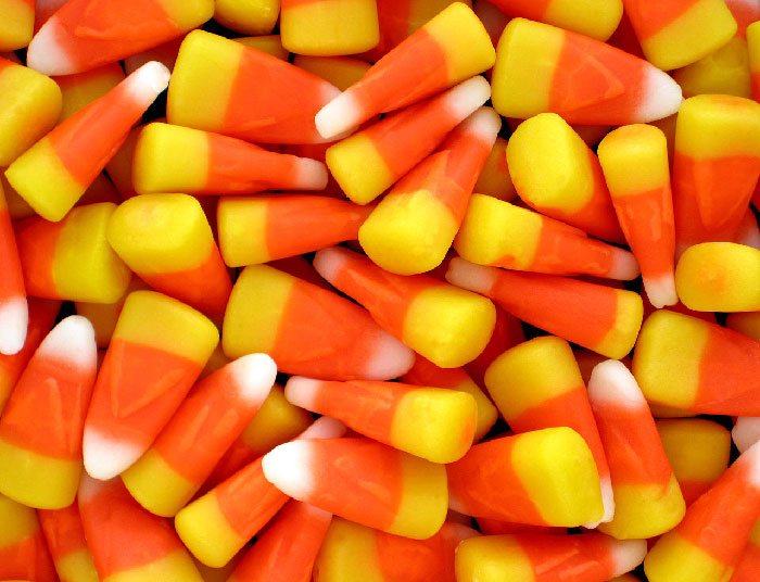 that candies such as candy corn, whoppers and milk duds are covered in an insect secretion