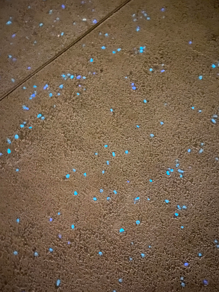 “My country puts phosphor into sidewalks so you can see at night.”