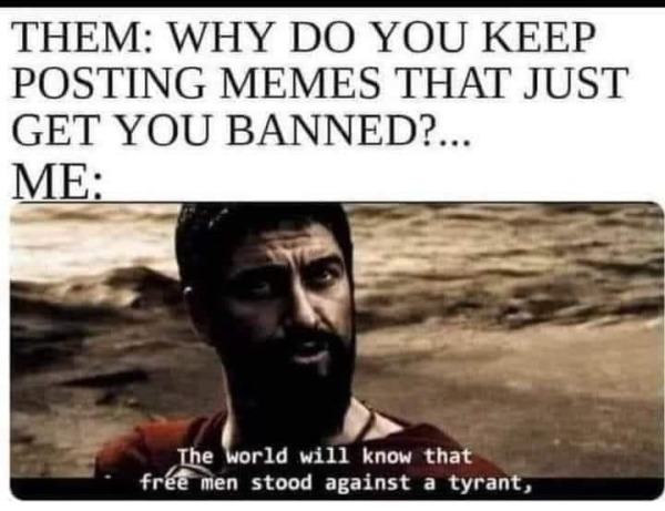 relatable memes - photo caption - Them Why Do You Keep Posting Memes That Just Get You Banned?... Me The world will know that free men stood against a tyrant,