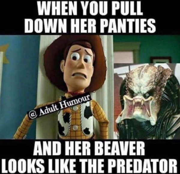 relatable memes - photo caption - When You Pull Down Her Panties Humour And Her Beaver Looks The Predator