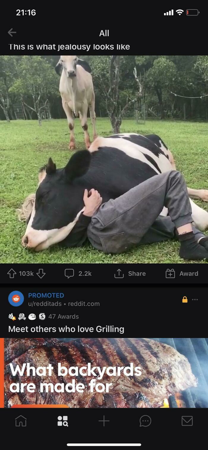 53 Hilariously Misplaced Ads.