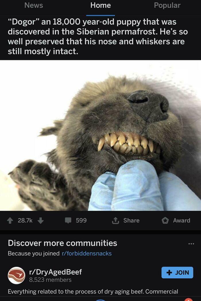 53 Hilariously Misplaced Ads.