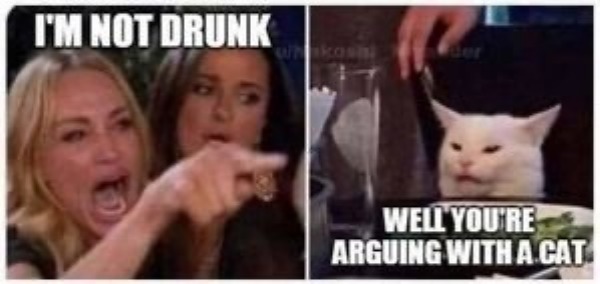 relatable memes - funny drunk meme drunk - I'M Not Drunk whakoshi Well You'Re Arguing With A Cat