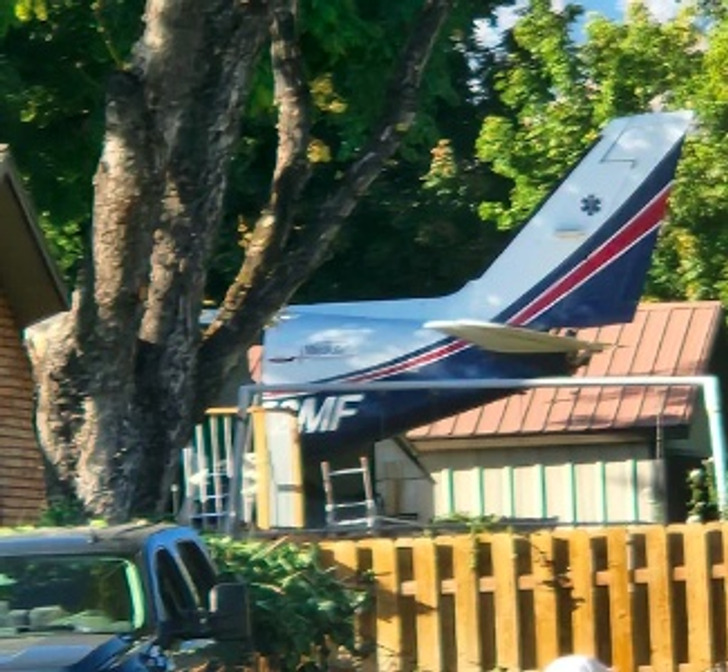 “These guys have an old plane propped up in a tree as a treehouse.”