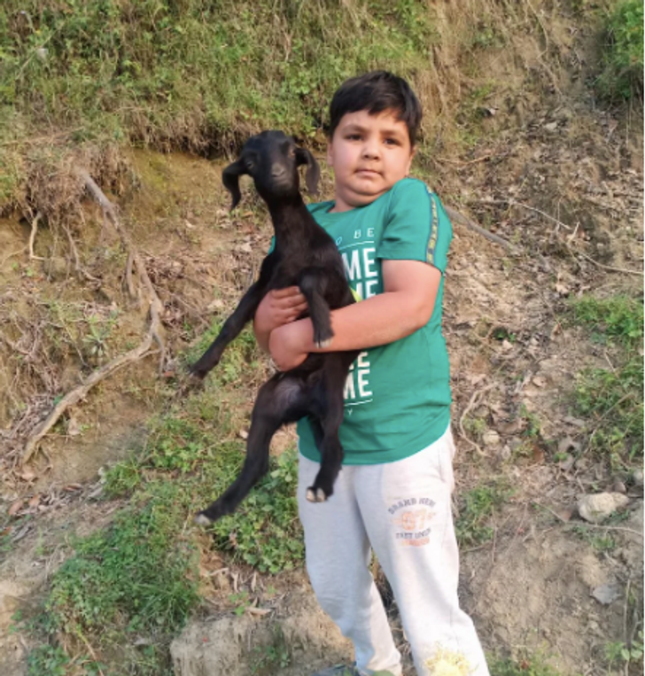 “The baby goat in my brother’s lap got more calm while I took this pic.”