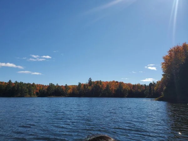 “My boyfriend told me this was just the top of his canoe when he was on his trip this weekend.”