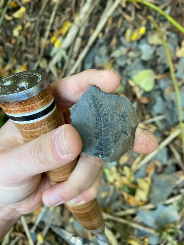 “This nifty fossil I found.”