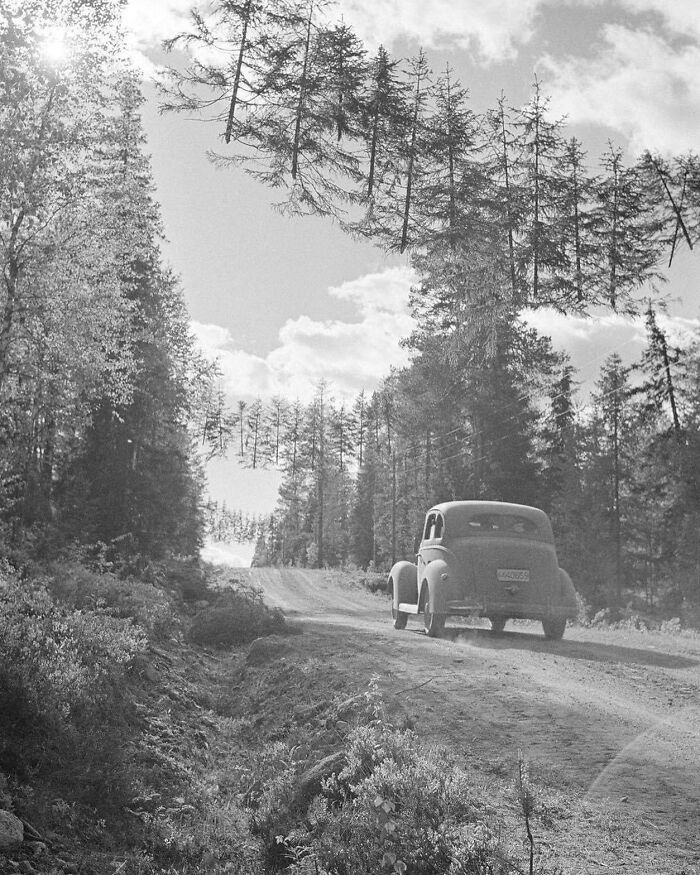 historical photographs - camouflage road finland - MMAD059