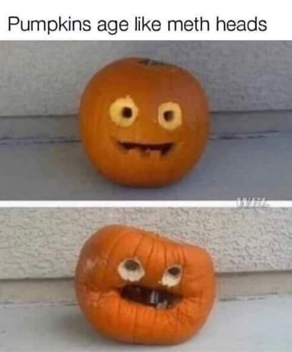 spicy sex memes - winter squash - Pumpkins age meth heads