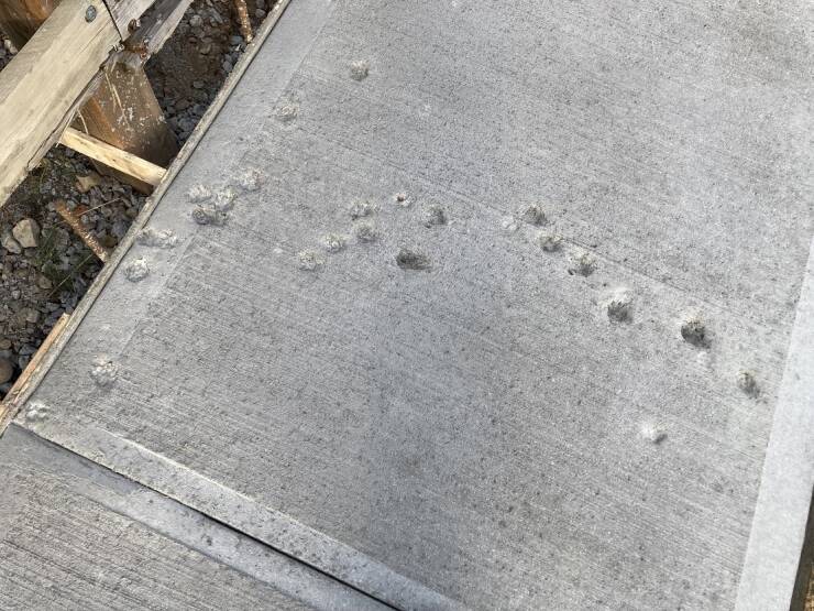 "A cat ventured onto freshly poured concrete the desperately needed to be redone"