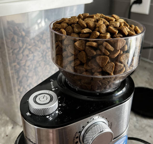 “I think my husband was tired this morning because that is dog food and not coffee beans.”