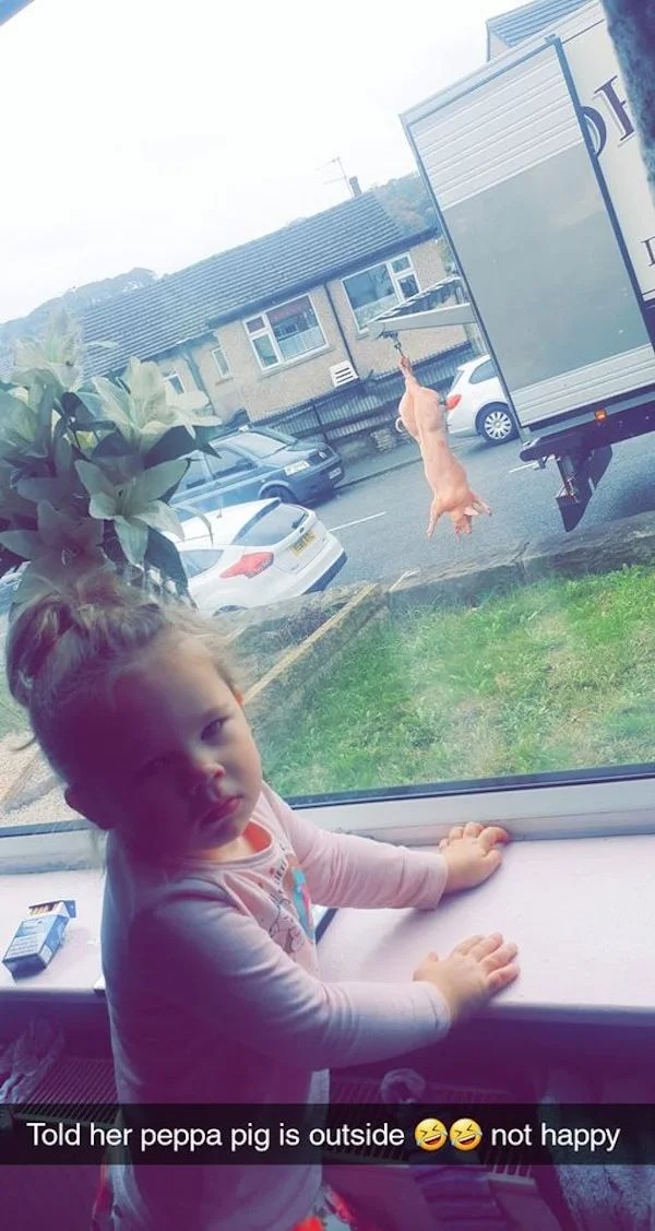 spicy sex memes - told her peppa pig is outside - Told her peppa pig is outside not happy