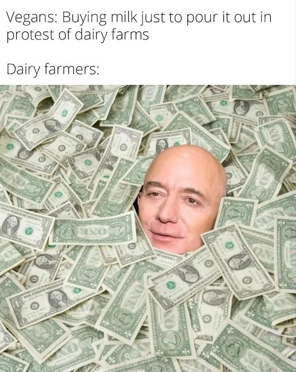 spicy sex memes - swimming in money stock - Vegans Buying milk just to pour it out in protest of dairy farms Dairy farmers Ante Caten Of Ancora Mama Krigeranskom The United States Of No Creams One Tenof Amer Mbaa Meines Nactivere America Spee Amyla Ne