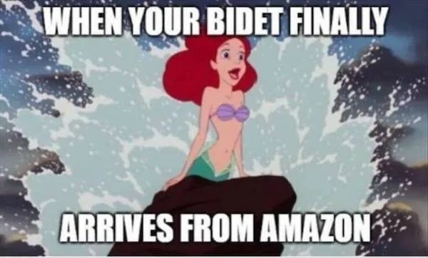 spicy sex memes - ariel the little mermaid 1989 - When Your Bidet Finally Arrives From Amazon