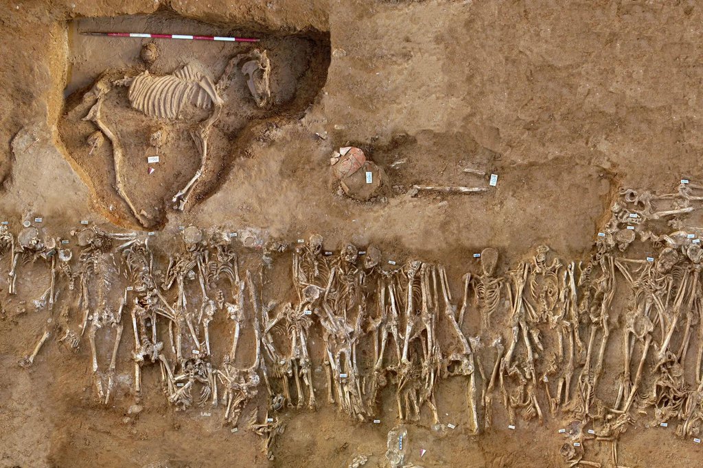 A mass grave of troops from the second Battle of Himera in Sicily in 409 B.C., and a horse.
