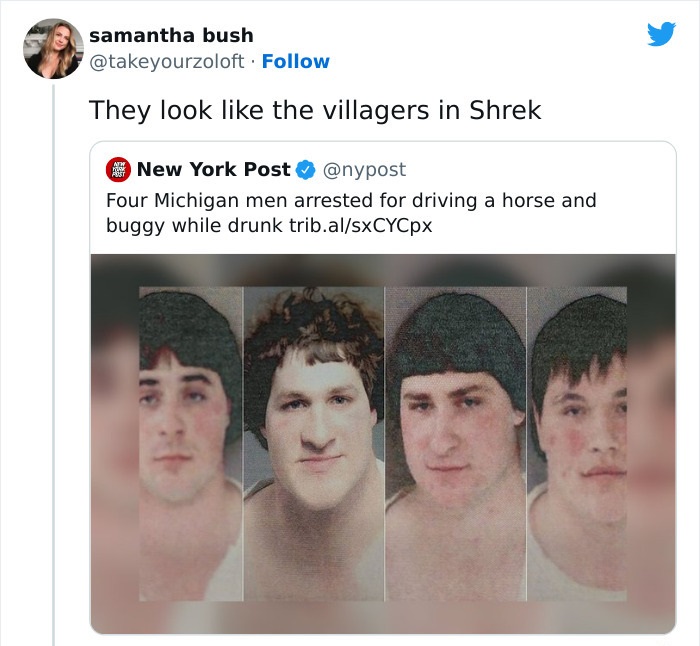 savage roasts - they look like the villagers in shrek - samantha bush . They look the villagers in Shrek New York Post Four Michigan men arrested for driving a horse and buggy while drunk trib.alsxCYCpx 3