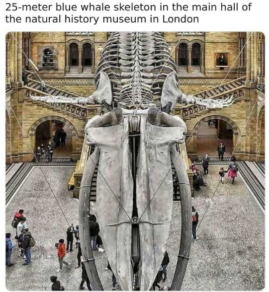 30 Large Things With Humans For Scale.