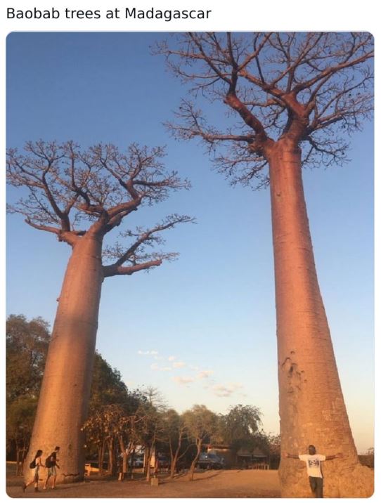 30 Large Things With Humans For Scale.