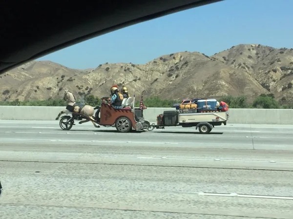 weird things on the road