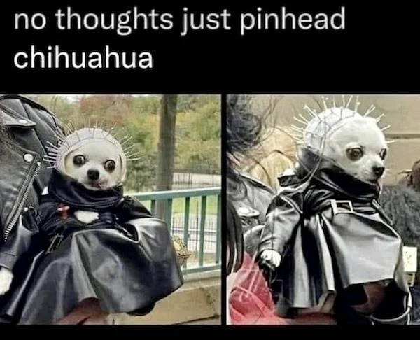 43 Memes That Nailed It.