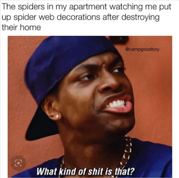 43 Memes That Nailed It.