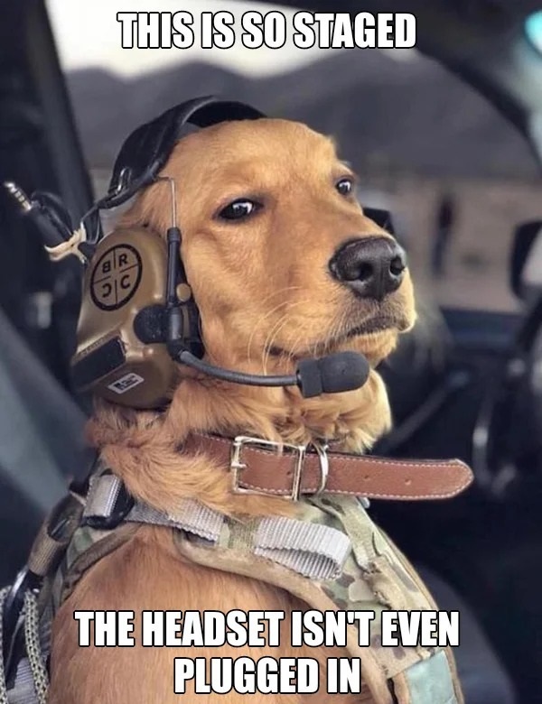 43 Memes That Nailed It.