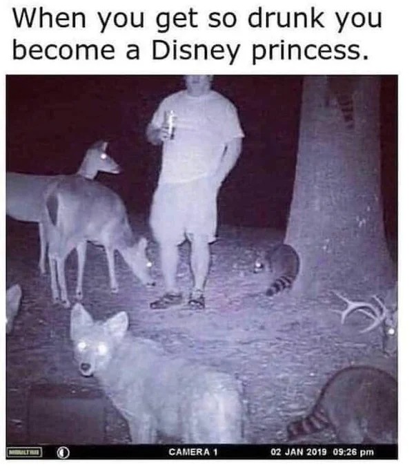 43 Memes That Nailed It.