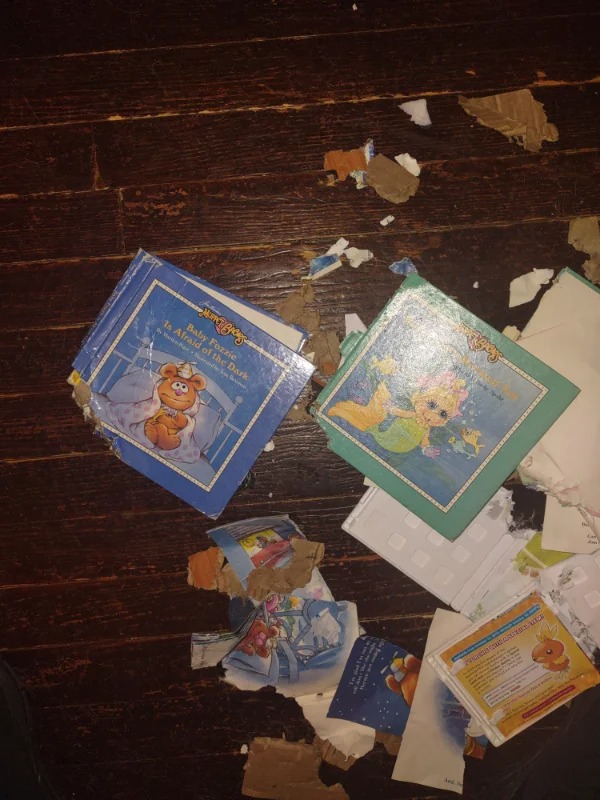 “Dog destroyed two of my childhood books that have been with me through 30 moves.”