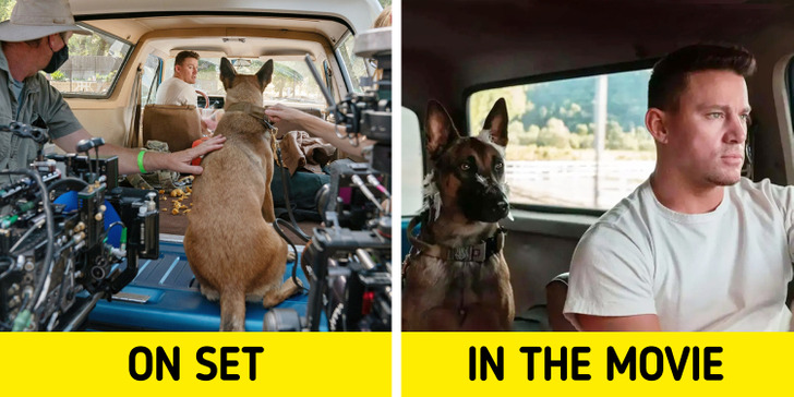 How the Dog (2022) production crew filmed the scenes in the car.