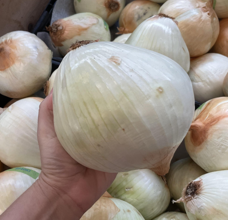 This onion is a little too big.