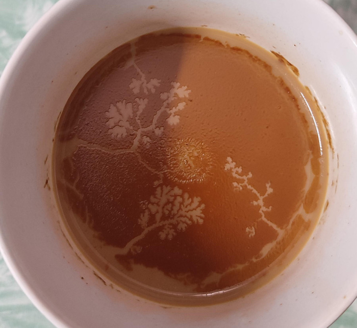 “Left the cup of tea for 15 minutes, came back, and trees with leaves were naturally formed.”