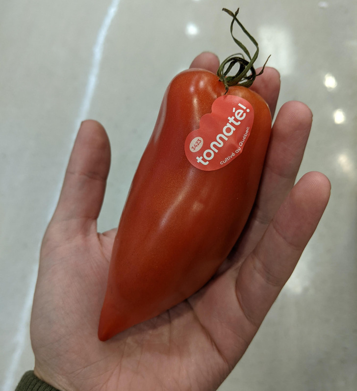 “This tomato I found that looks like a pepper”