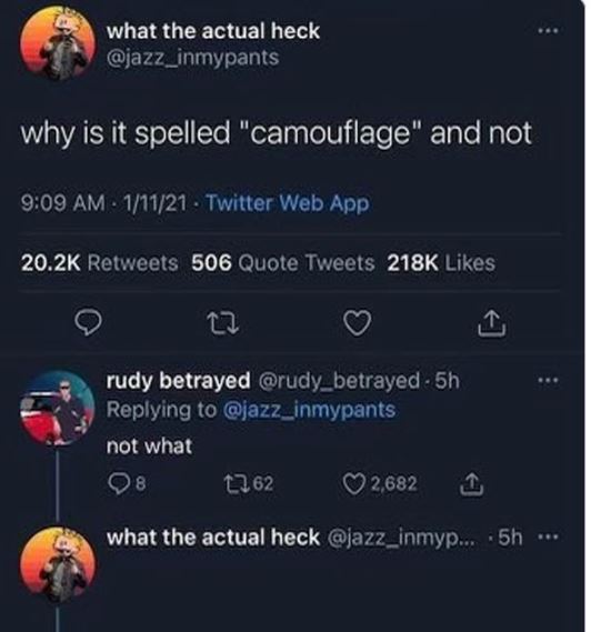 brutal comments - spelled camouflage meme - what the actual heck why is it spelled "camouflage" and not 11121 Twitter Web App 506 Quote Tweets 27 rudy betrayed 5h not what 98 1362 2,682 1 what the actual heck ... 5h...