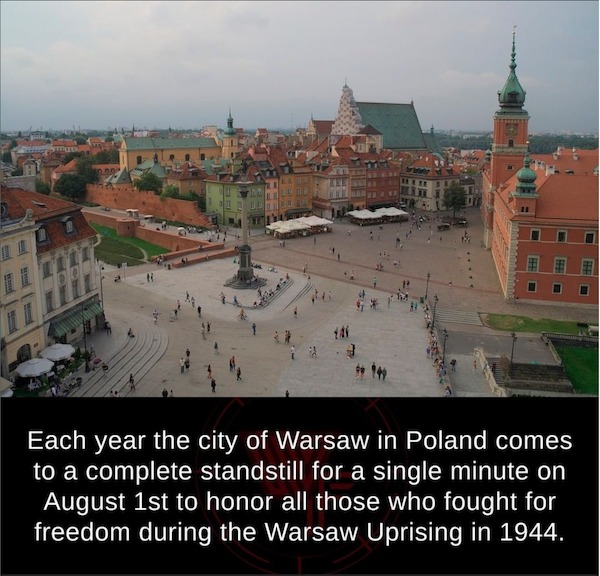 fascinating facts - sigismund's column - 3.00 111 Each year the city of Warsaw in Poland comes to a complete standstill for a single minute on August 1st to honor all those who fought for freedom during the Warsaw Uprising in 1944.