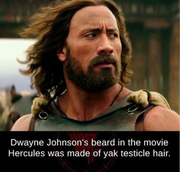 fascinating facts - hercules 2014 - Dwayne Johnson's beard in the movie Hercules was made of yak testicle hair.