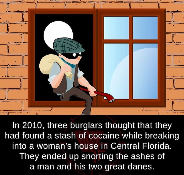 fascinating facts - In 2010, three burglars thought that they had found a stash of cocaine while breaking into a woman's house in Central Florida. They ended up snorting the ashes of a man and his two great danes.
