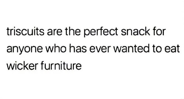 funny memes - my girlfriend will never be single again - triscuits are the perfect snack for anyone who has ever wanted to eat wicker furniture
